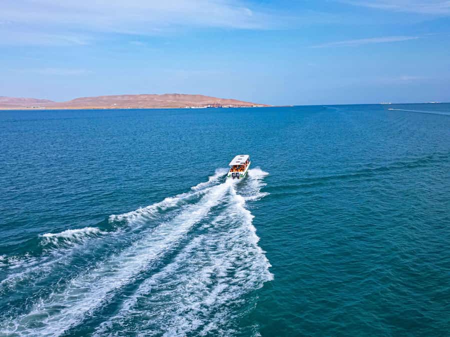 Paracas: Ballestas Islands Guided Boat Tour - Sea lions, seabirds, and Humboldt penguins