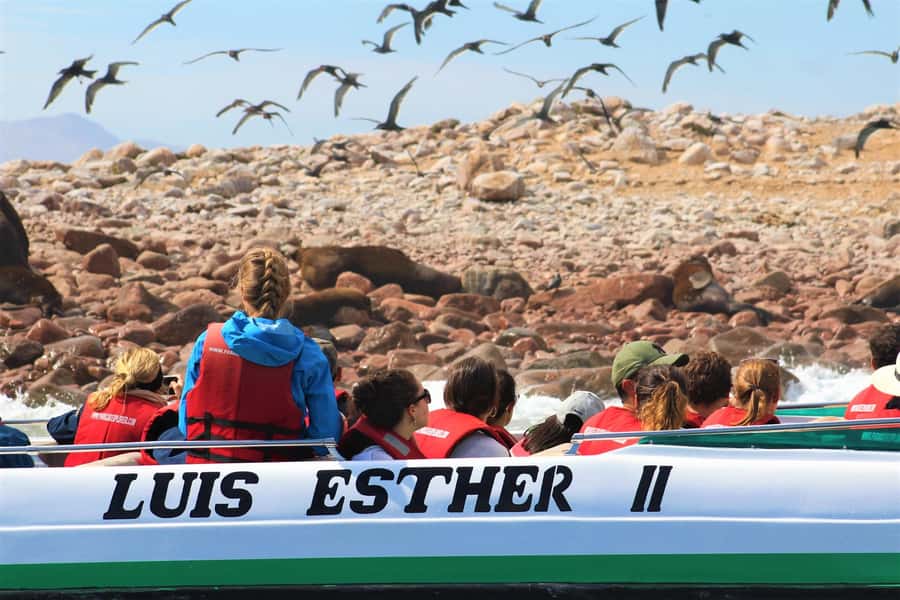 Paracas: Ballestas Islands Guided Boat Tour - What the $20 price really covers