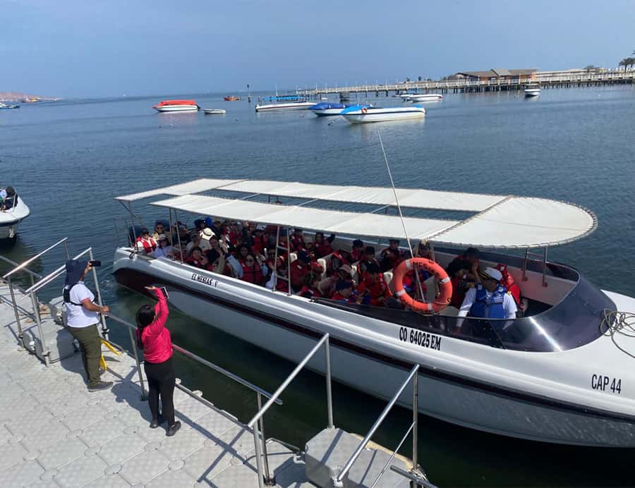 Paracas: Ballestas Islands Morning Boat Tour - Key points to know before you go
