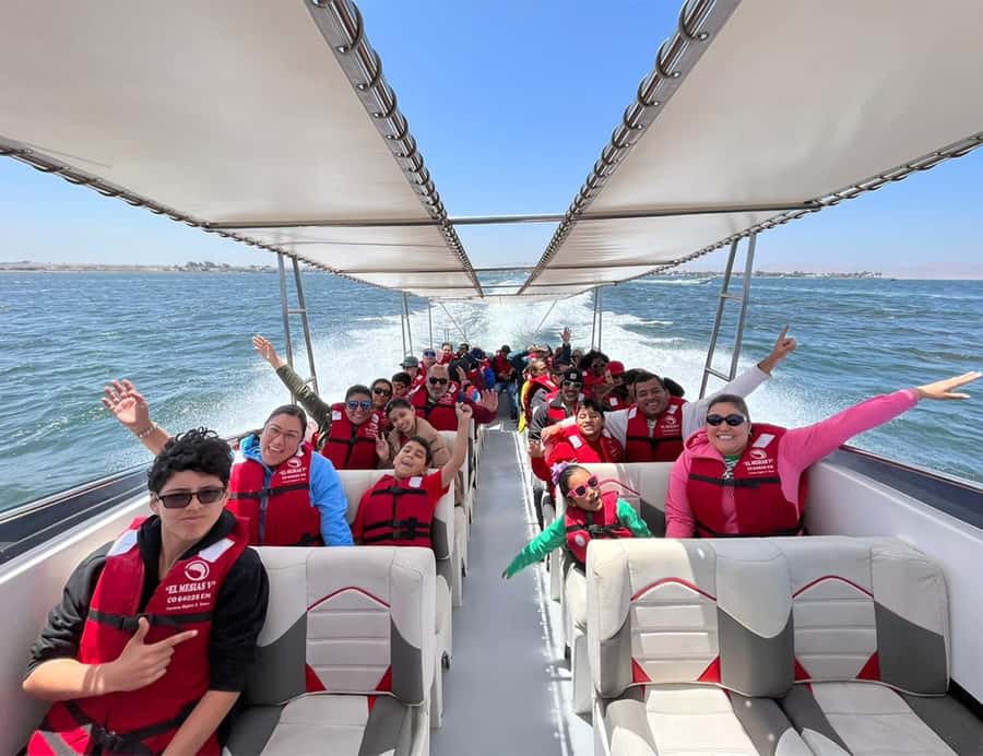 Paracas: Ballestas Islands Morning Boat Tour - Who should book this Paracas boat tour?