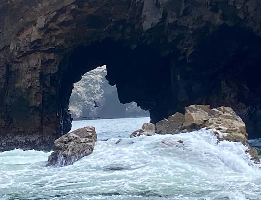 Paracas: Ballestas Islands Morning Boat Tour - Around the Ballestas Islands: animals, color, and rock