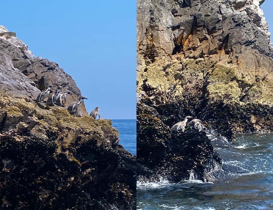Paracas: Ballestas Islands Morning Boat Tour - The ride back to Muelle El Chaco
