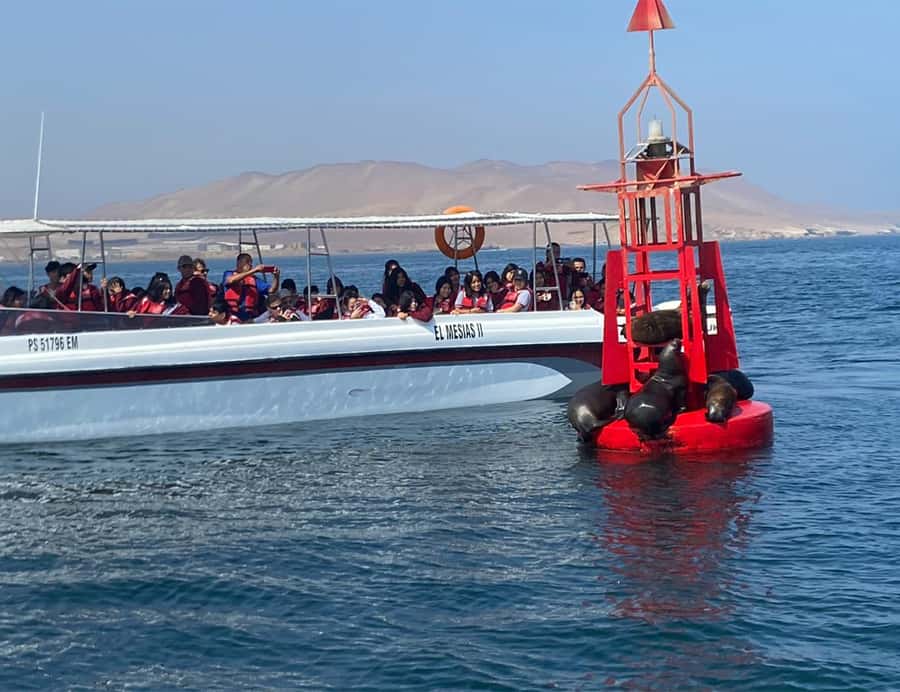 Paracas: Ballestas Islands Morning Boat Tour - Price, comfort, and what the $17 includes