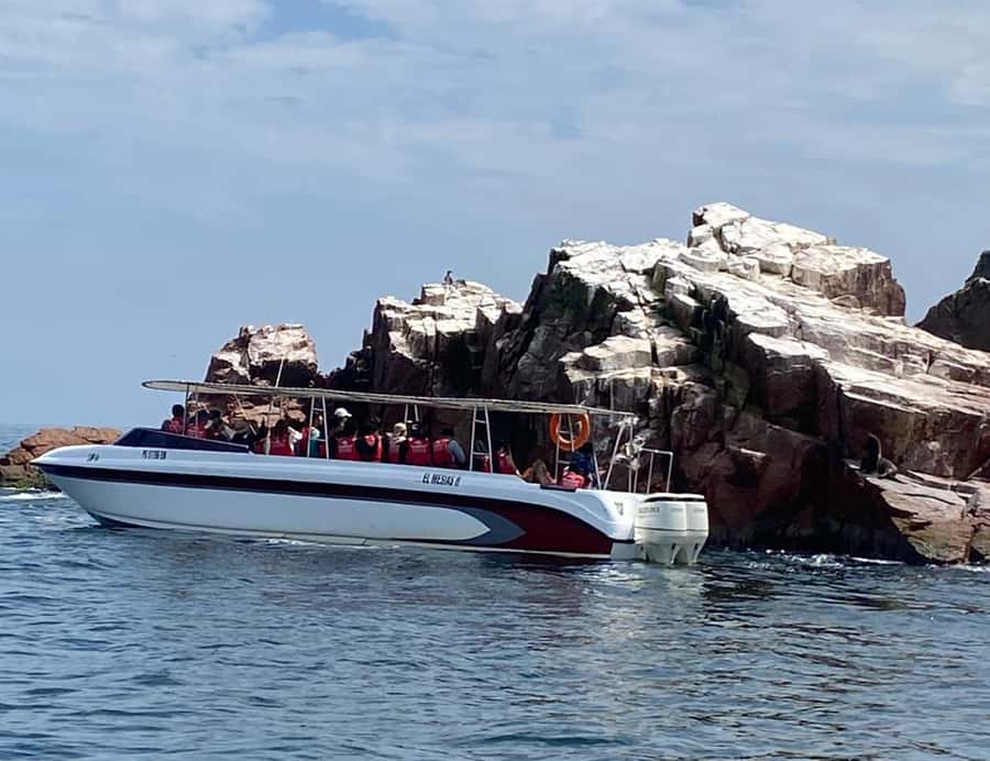 Paracas: Ballestas Islands Morning Boat Tour - What to pack for this two-hour outing