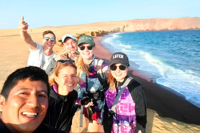 Paracas National Reserve Tour - Flamingos and the reserve’s coastal wildlife