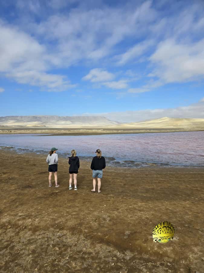 Paracas:Private Tours Paracas National Reserve all inclusive - Key points to know before booking