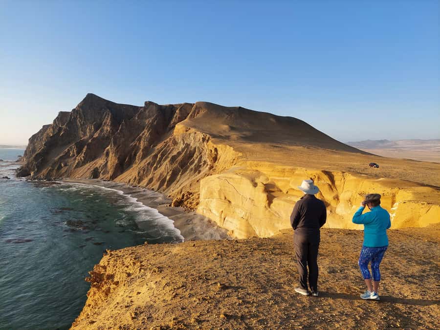 Paracas:Private Tours Paracas National Reserve all inclusive - The interpretation center gives the reserve context