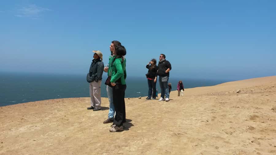 Paracas:Private Tours Paracas National Reserve all inclusive - Mirador Catedral shows the power of erosion