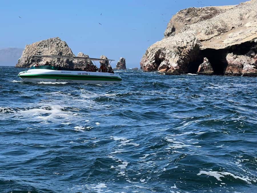 Paracas: speedboat BALLESTAS ISLANDS TOUR - Key things to know before booking