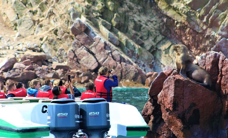 Paracas: speedboat BALLESTAS ISLANDS TOUR - The Ballestas Islands and their carved rock shapes