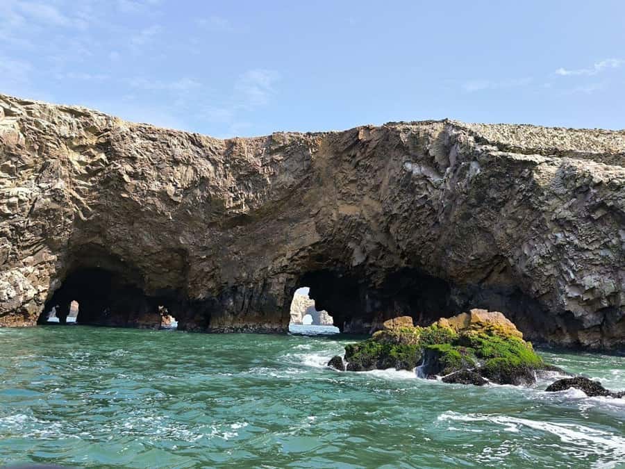 Paracas: speedboat BALLESTAS ISLANDS TOUR - A concentrated wildlife show on the rocks