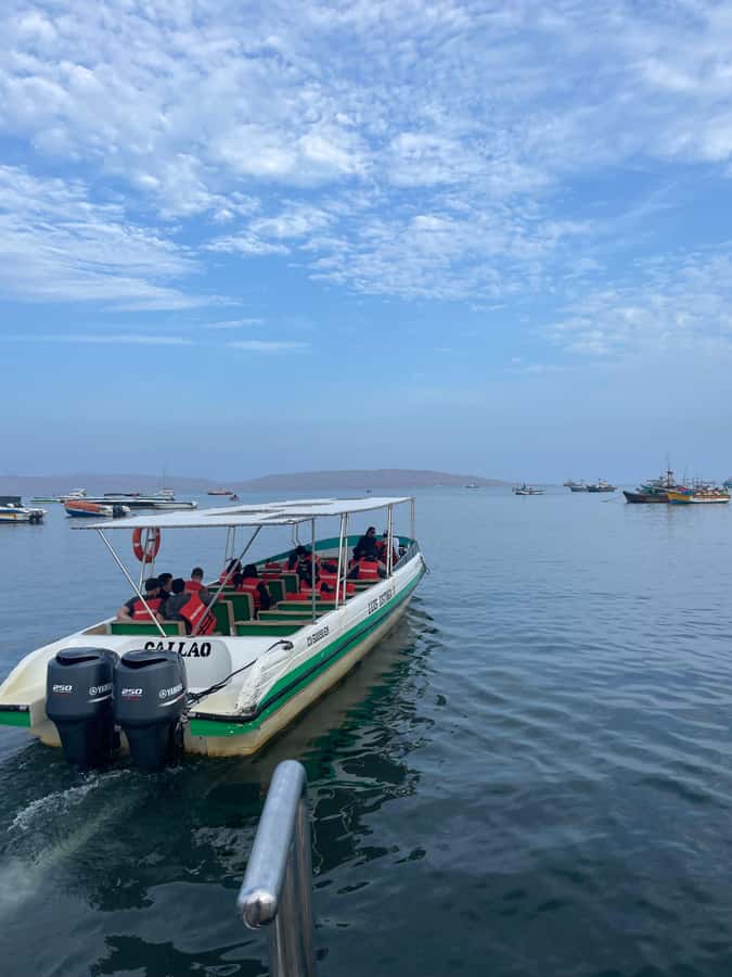 Paracas: speedboat BALLESTAS ISLANDS TOUR - Who will enjoy this outing most