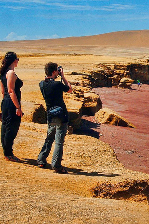 PARACAS|| Sunset trekking in the Paracas National Reserve - Who will enjoy this outing most?
