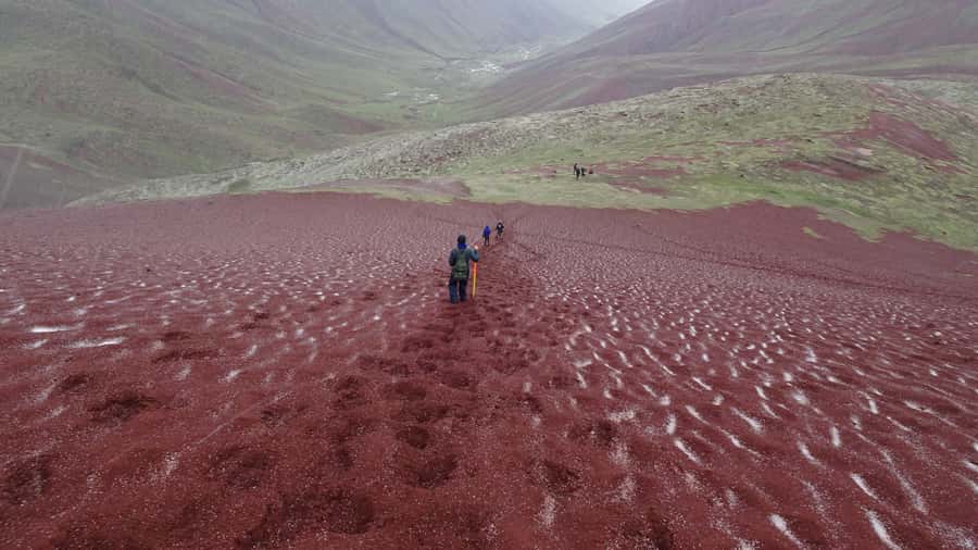 Peru: Rainbow Mountain and Red Valley View Point Tour - Guides, pace, and the small-group advantage