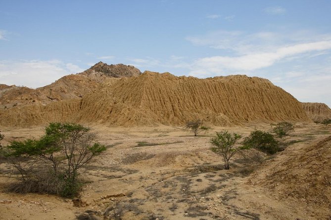 Piramids of Tucume Tour, Sican Museum and Lambayeque city tour - Key points about the Chiclayo day tour