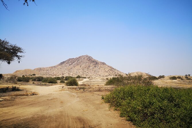 Piramids of Tucume Tour, Sican Museum and Lambayeque city tour - Guide quality and private transport