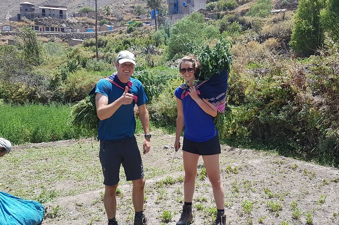 Private 3 Day Colca Canyon Trekking tour (superior Service) - Yanque, terraces, and the Cruz del Condor