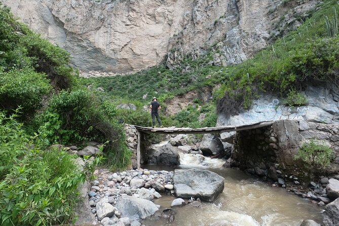 Private 3 Day Colca Canyon Trekking tour (superior Service) - Chivay, volcanoes, and vicuñas on the way back