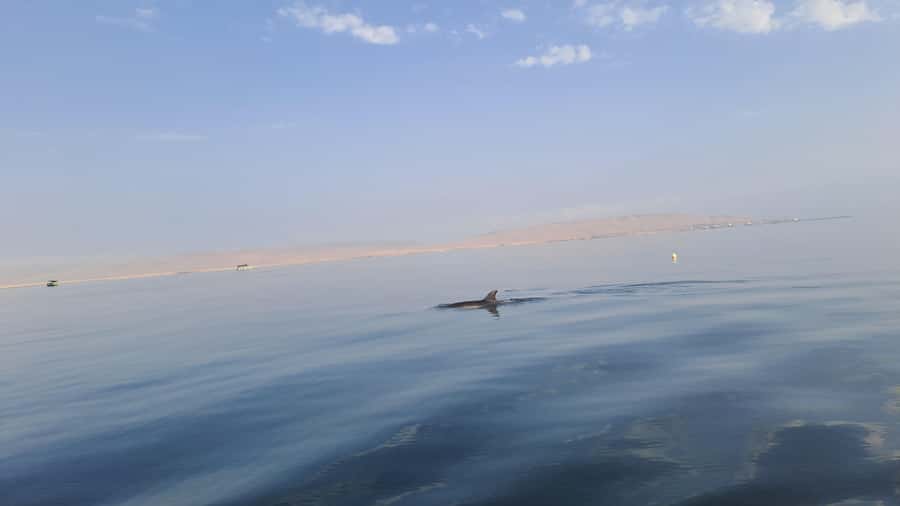 Private Tour: Ballestas Island & Huacachina Oasis, from Lima - What to bring for the coast and desert