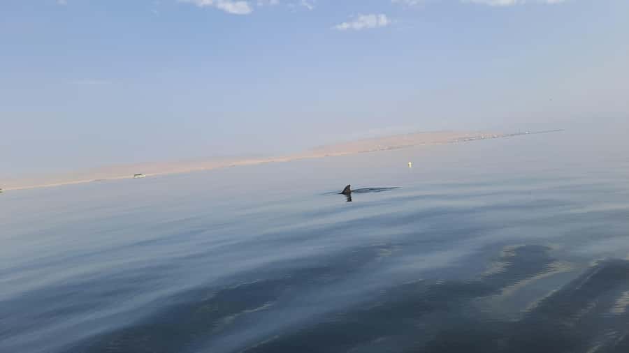 Private Tour: Ballestas Island & Huacachina Oasis, from Lima - The early pickup from Miraflores, Barranco, or San Isidro