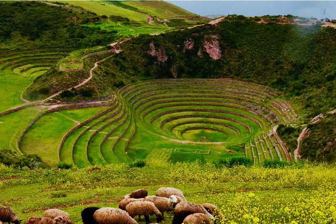 Private Tour Sacred Valley, Chinchero, Maras Moray, Ollantaytambo - What the $89.10 Price Really Includes