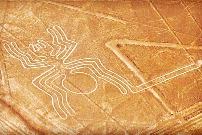 Private Tour to the Astonished Nazca Lines and Huacachina Oasis - The big idea: one ambitious day from Lima