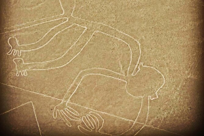 Private Tour to the Astonished Nazca Lines and Huacachina Oasis - The private car and the people who make the day work