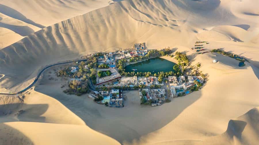 Pro Sanboarding or skiing in Huacachina from Lima - Day trip - Meeting Near Kennedy Park in Miraflores