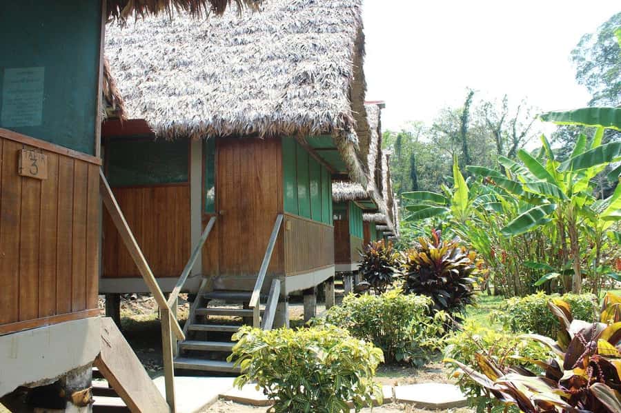 Puerto Maldonado: 2-Day Peruvian Tambopata Jungle Trip - Timing, transport, and the flight rules you need