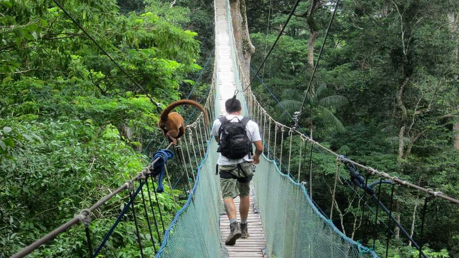 Puerto Maldonado: 2-Day Peruvian Tambopata Jungle Trip - Canoeing among the wildlife of Lake Sandoval