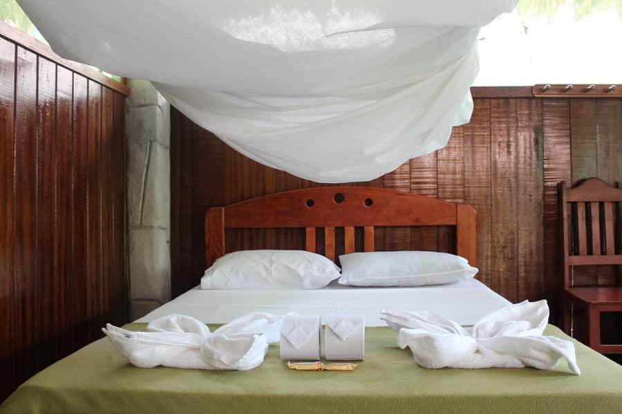 Puerto Maldonado: 2-Day Peruvian Tambopata Jungle Trip - Meals, rooms, electricity, and the lodge routine