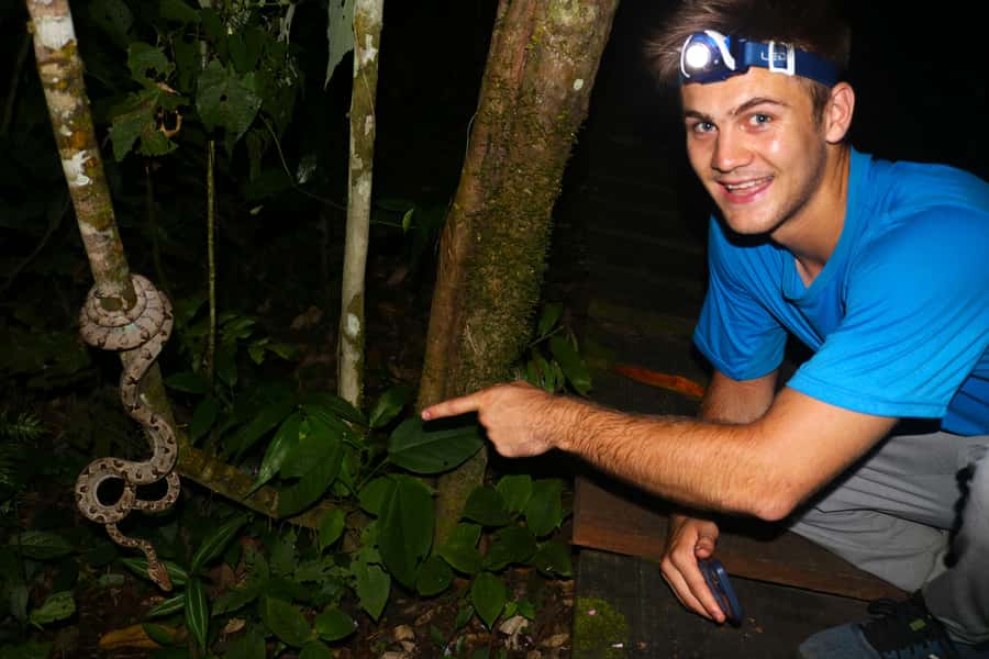 Puerto Maldonado: Jungle Night Tour with Sloths & Tarantulas - Why Tambopata is worth seeing after sunset