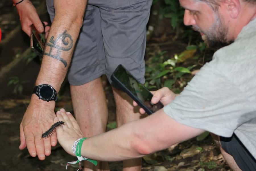 Puerto Maldonado: Jungle Night Tour with Sloths & Tarantulas - Who will enjoy this walk most