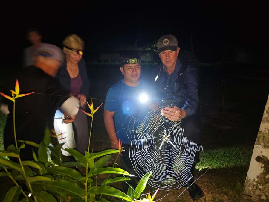 Puerto Maldonado: Jungle Night Tour with Sloths & Tarantulas - Starting in Puerto Maldonado