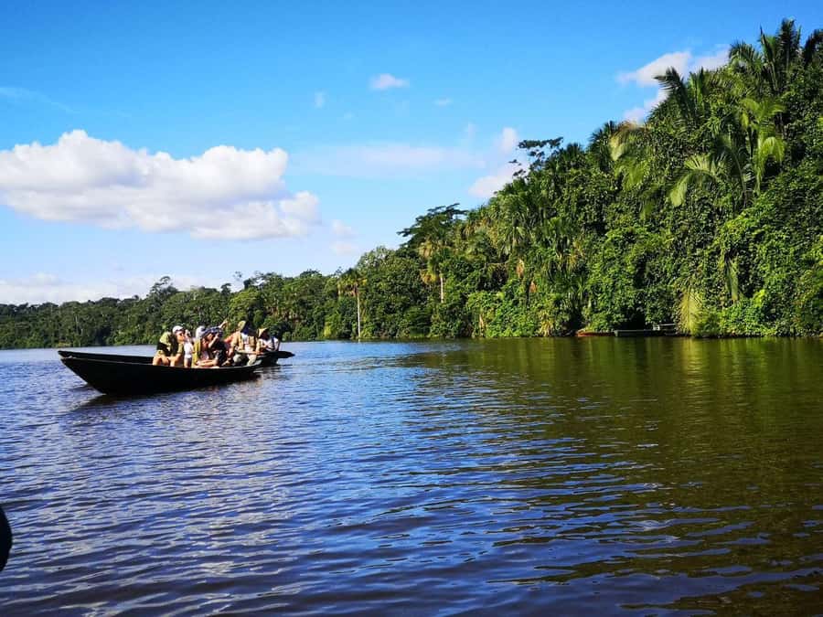 Puerto Maldonado: Lago Sandoval Day Trip with Lunch - Key points at a glance