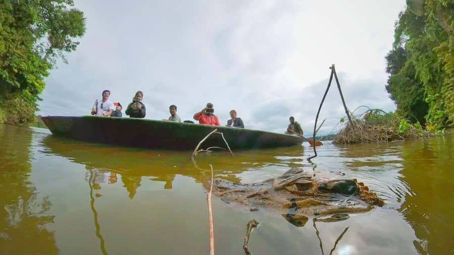 Puerto Maldonado: Lago Sandoval Day Trip with Lunch - Walking the 3-kilometer wooden trail