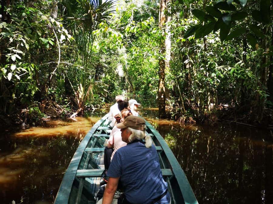 Puerto Maldonado: Lago Sandoval Day Trip with Lunch - Wildlife at Lago Sandoval