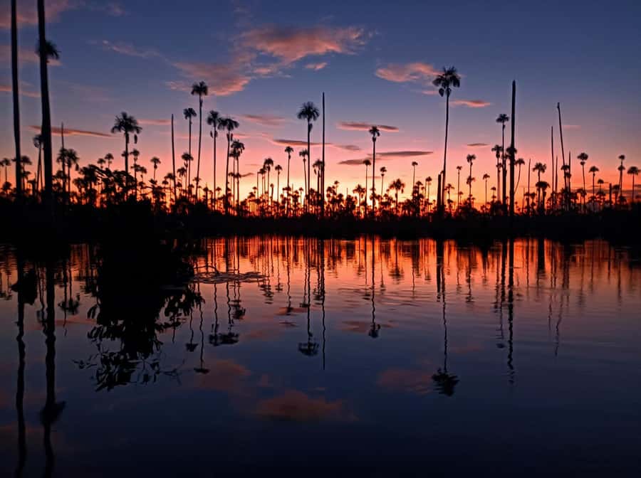 Puerto Maldonado: Lake Yacumama sunset and piranha fishing - The 20-Minute Ride from Puerto Maldonado