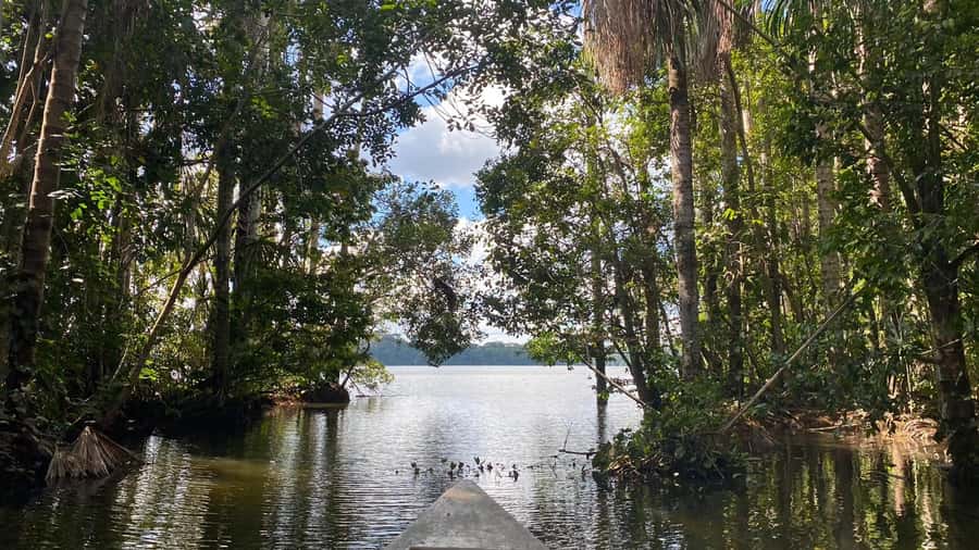 Puerto Maldonado: Sandoval Lake 4-Day, 3-Night Guided Tour - Sandoval Lake after a 3-kilometer forest walk