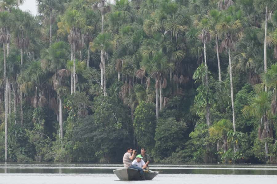 Puerto Maldonado: Sandoval Lake Full-Day Trip with Canoeing - Key points to know before booking