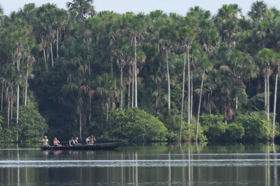 Puerto Maldonado: Sandoval Lake Full-Day Trip with Canoeing - Entering Tambopata National Reserve on foot