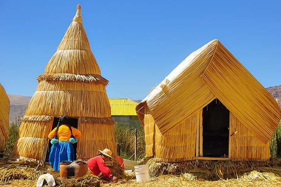 Puno: Lake Titicaca Day Tour - An early start from central Puno