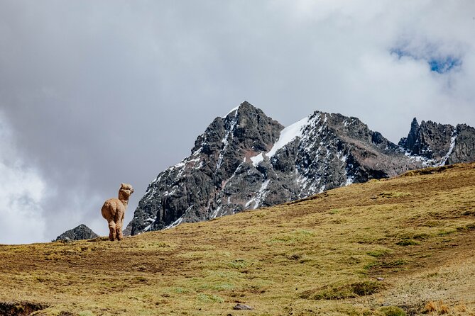 Rainbow Mountain and Red Valley Hike – 2 Days / 1 Night - Day 2: Hot Coca Tea and the Walk to Vinicunca