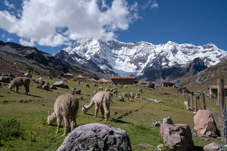 Rainbow Mountain Cusco tour - Key points at a glance