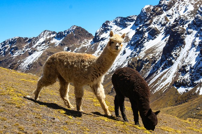 Rainbow Mountain in Cusco Full Day Tour - Hanchipata and Quesiuno: where the walk begins