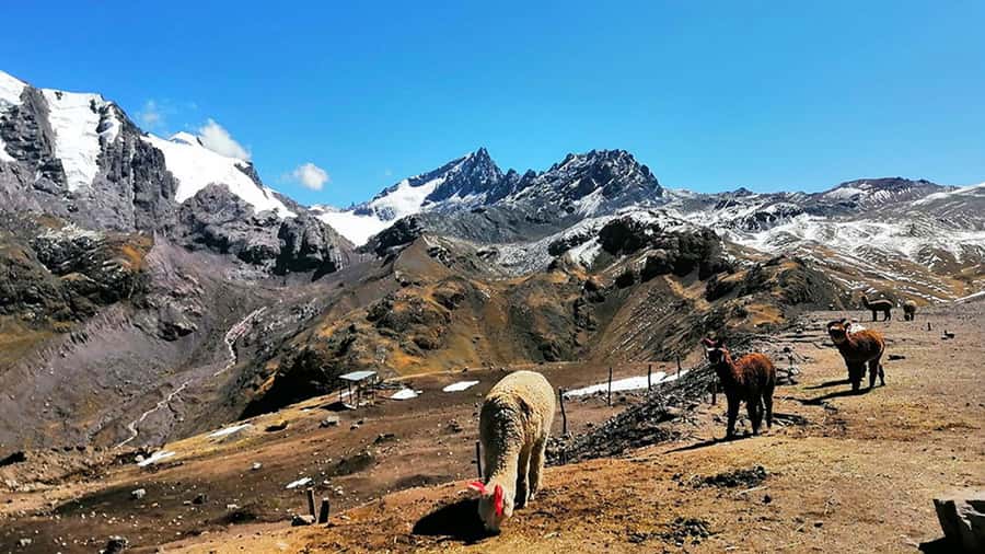 Rainbow Mountain tour and Machu Picchu tour by train - FAQ
