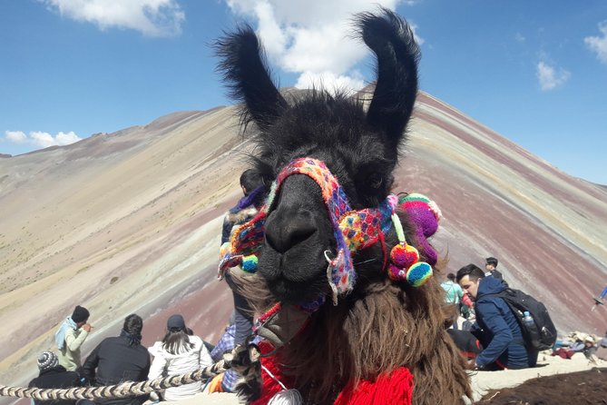 Rainbow Mountain Tour Vinicunca (Full Day) - Group size, comfort, and value at $50