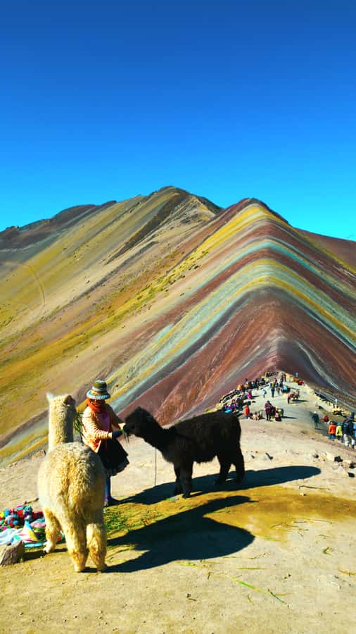 rainbown mountain Vinicunca 1 day - The three-hour ride and the rough road