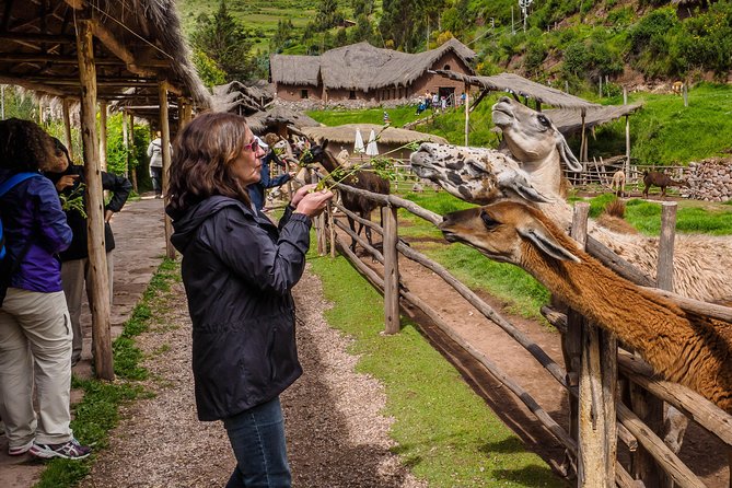 Sacred Valley and Machu Picchu Tour in 2 days with Peru Vip - Ollantaytambo earns more than a rushed visit