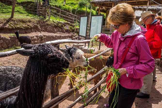 Sacred Valley and Machu Picchu Tour in 2 days with Peru Vip - Machu Picchu gets the time it deserves